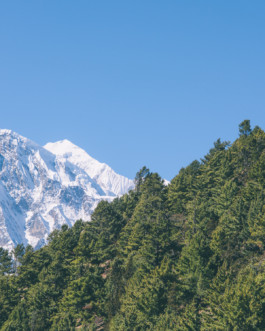 fine art photography graphic composition and surprising details by Willy Lamers