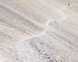 fine art photography graphic composition and surprising details by Willy Lamers