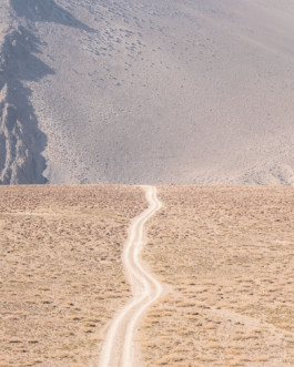 fine art photography graphic composition and surprising details by Willy Lamers