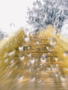 fine art photography graphic composition and surprising details by Willy Lamers