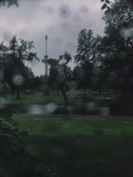 fine art photography graphic composition and surprising details by Willy Lamers