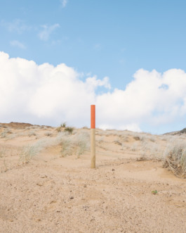 fine art photography graphic composition and surprising details by Willy Lamers