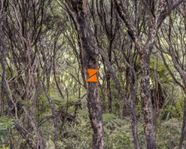 Wayfinders New Zealand fine art photography fine art photography graphic composition and surprising details by Willy Lamers